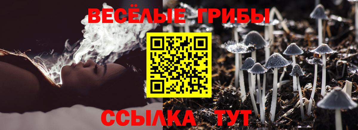Галлюциногенные грибы Cubensis Менделеевск