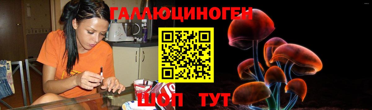 Менделеевск  Галлюциногенные грибы MAGIC MUSHROOMS  Вход с VPN  Псилоцибиновые грибы Psilocybine cubensis 